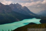Peyto Lake, Banff Peyto Lake, Banff