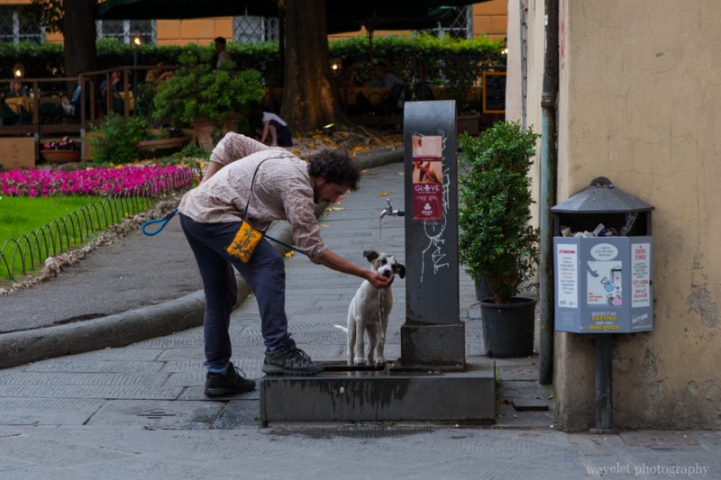 Piazza XX Settembre, Lucca Piazza XX Settembre, Lucca
