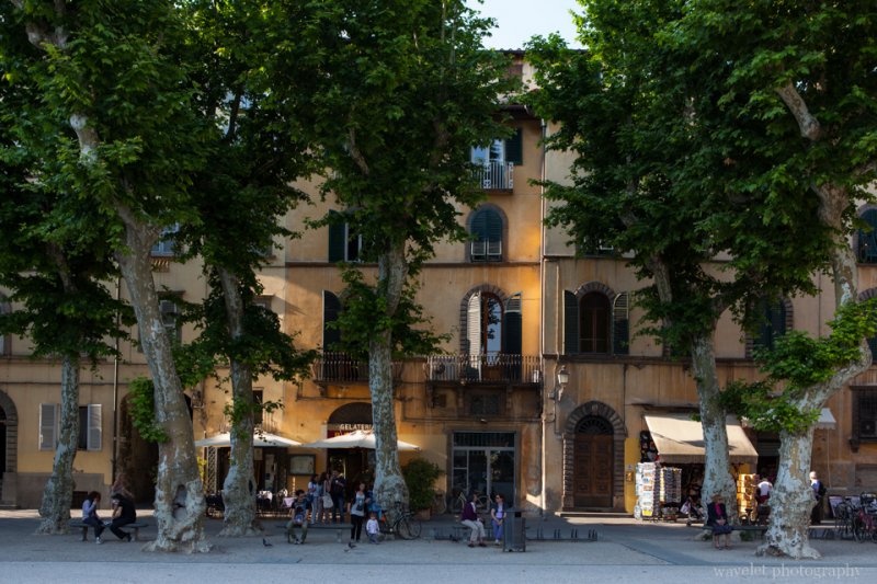 Piazza Napoleone, Lucca Piazza Napoleone, Lucca