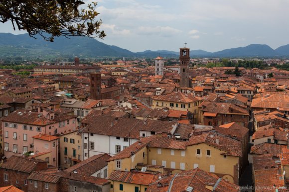 Lucca as seen from the top of the Guinigi tower Lucca as seen from the top of the Guinigi tower