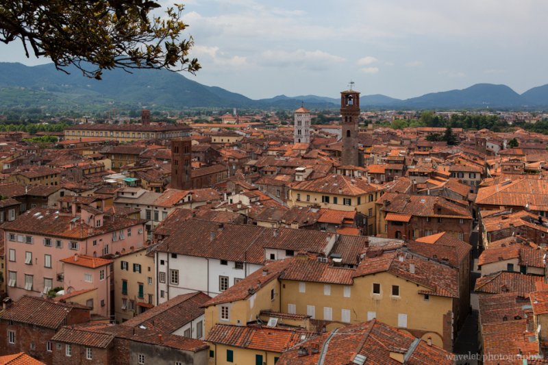 Lucca as seen from the top of the Guinigi tower Lucca as seen from the top of the Guinigi tower