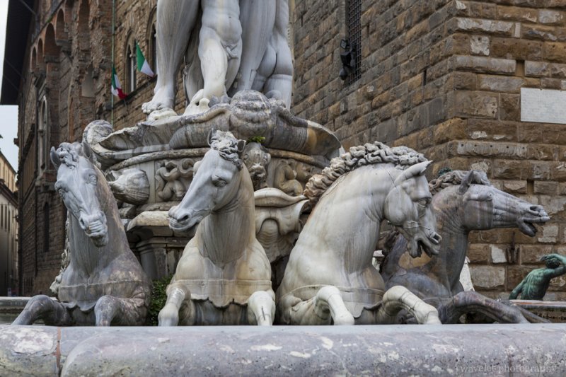 Sea horses of Fontana di Nettuno, Piazza della Signoria, Florence Sea horses of Fontana di Nettuno, Piazza della Signoria, Florence