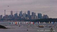 Yacht Race Yacht Race