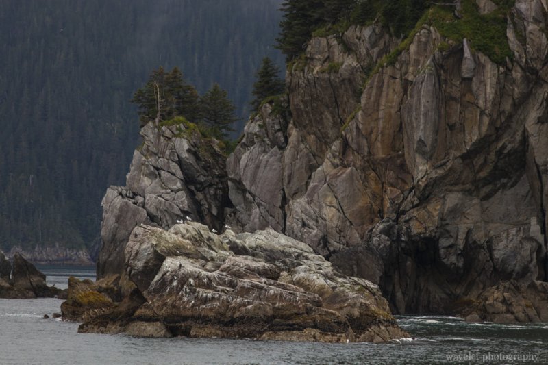 Kenai Fjords National Park, Alaska Kenai Fjords National Park, Alaska