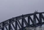 Harbour Bridge Climber Harbour Bridge Climber