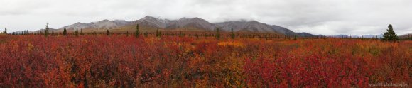 Denali National Park, Alaska Denali National Park, Alaska