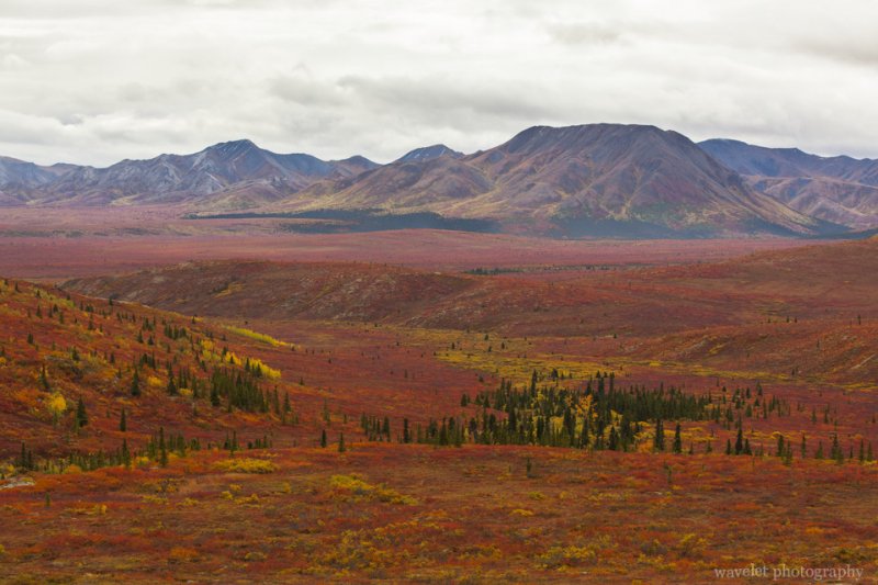Denali National Park, Alaska Denali National Park, Alaska