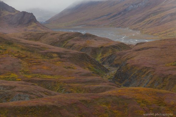 Denali National Park, Alaska Denali National Park, Alaska