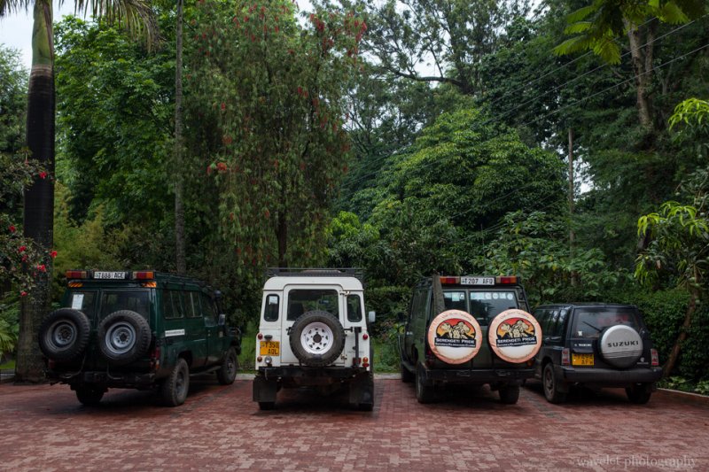Jeeps for safari tour, Ilboru Safari Lodge, Arusha, Tanzania Jeeps for safari tour, Ilboru Safari Lodge, Arusha, Tanzania