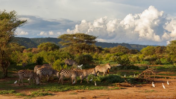 Lake Manyara National Park Lake Manyara National Park