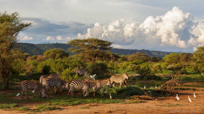 Lake Manyara National Park Lake Manyara National Park