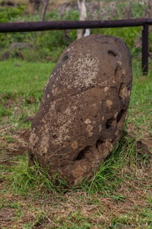 Pu O Hiro, used to attract fish by blowing through the holes, eastern coast, Easter Island Pu O Hiro, used to attract fish by blowing through the holes, eastern coast, Easter Island