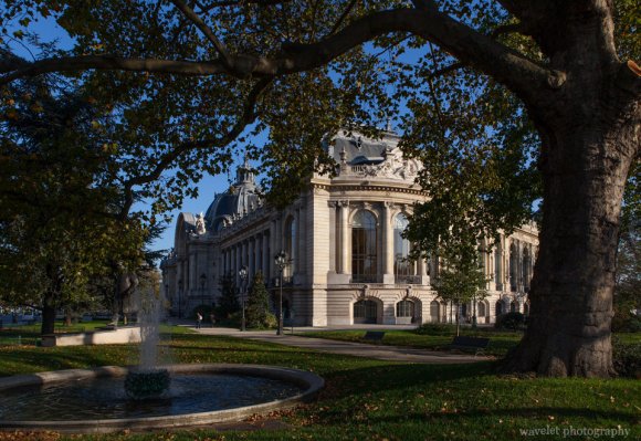 Petit Palais, Paris Petit Palais, Paris