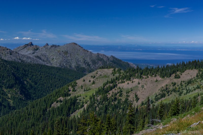 Hurricane Ridge, Olympic National Park, Washington Hurricane Ridge, Olympic National Park, Washington