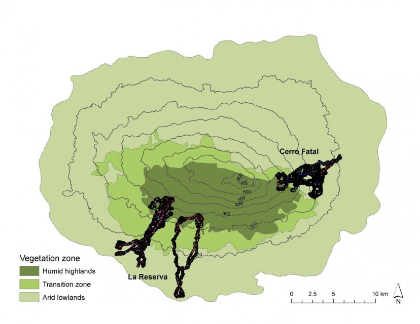 Tortoise migration routes on Santa Cruz Island Tortoise migration routes on Santa Cruz Island
