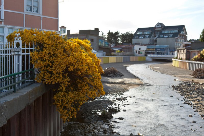 Punta Arenas Punta Arenas