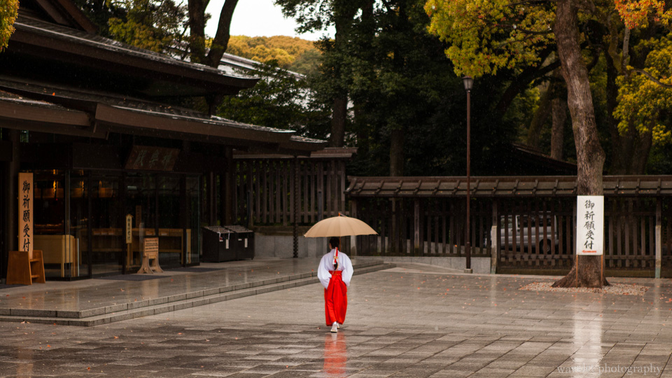 Meiji Shrine (明治神宫), Tokyo