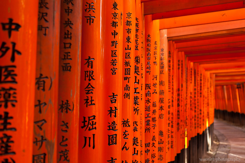 Tori (鸟居) at Fushimi Inari Shrine (伏見稲荷大社), Kyoto
