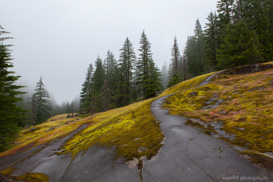 Box Canyon, Mt. Rainier