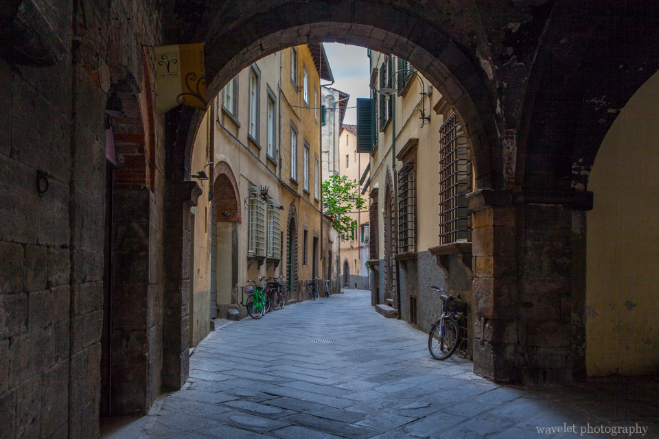 Via del Gallo, Lucca