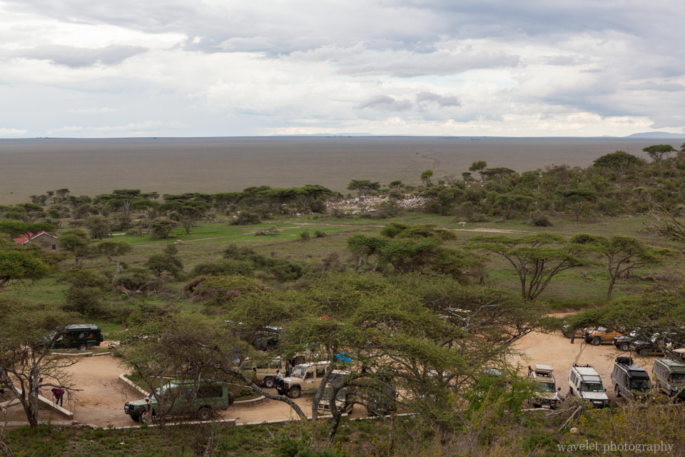 Tanzania Serengeti National Park Wavelet Blog